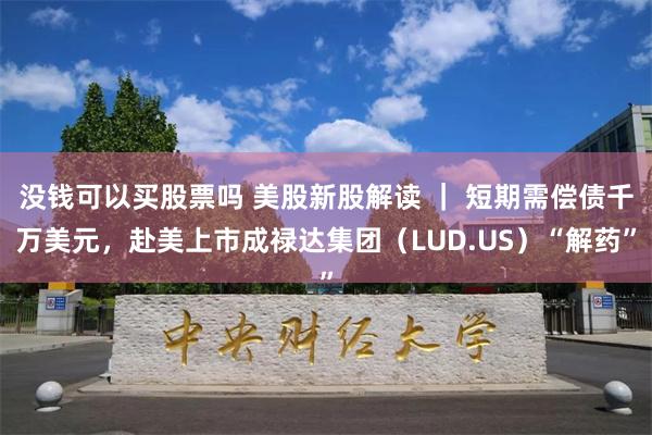 没钱可以买股票吗 美股新股解读 ｜ 短期需偿债千万美元，赴美上市成禄达集团（LUD.US）“解药”