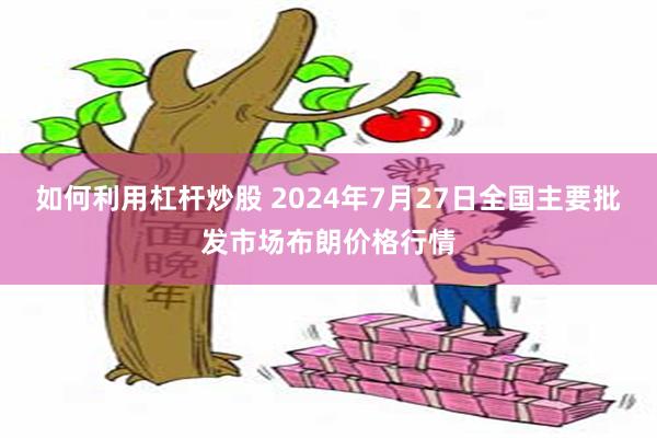 如何利用杠杆炒股 2024年7月27日全国主要批发市场布朗价格行情