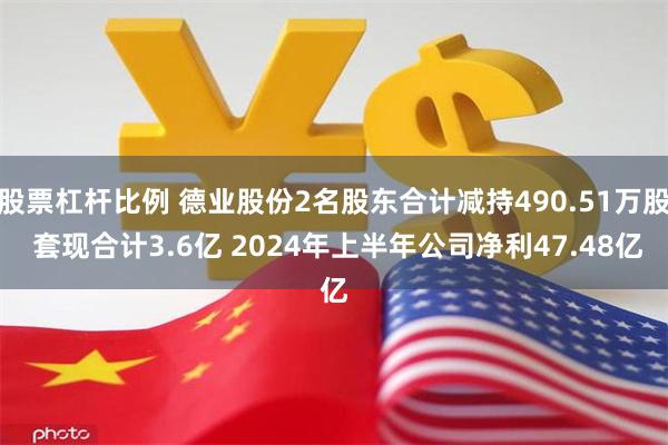 股票杠杆比例 德业股份2名股东合计减持490.51万股 套现合计3.6亿 2024年上半年公司净利47.48亿