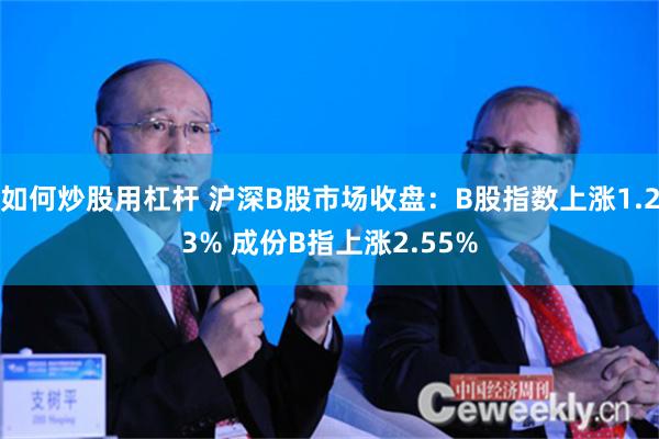 如何炒股用杠杆 沪深B股市场收盘：B股指数上涨1.23% 成份B指上涨2.55%