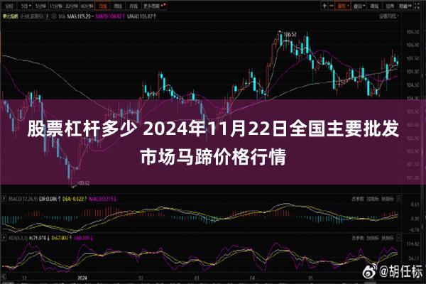 股票杠杆多少 2024年11月22日全国主要批发市场马蹄价格行情