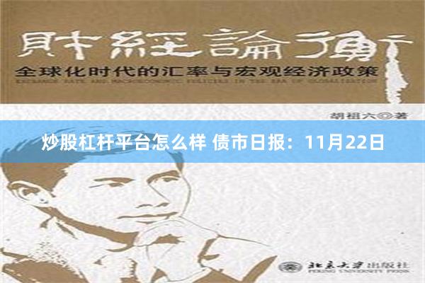 炒股杠杆平台怎么样 债市日报：11月22日