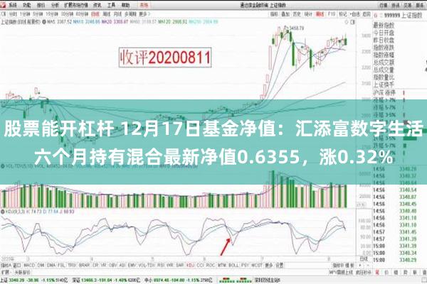 股票能开杠杆 12月17日基金净值：汇添富数字生活六个月持有混合最新净值0.6355，涨0.32%