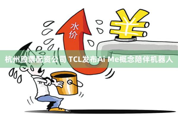 杭州股票配资公司 TCL发布Ai Me概念陪伴机器人